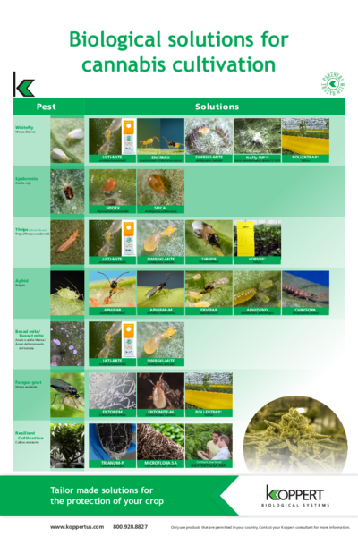 Cannabis Pest Poster