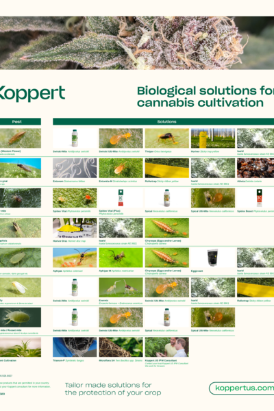 Cannabis Pest Poster