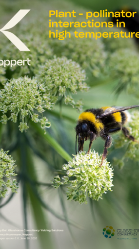 Plant Pollinator interactions in high temperatures Plant Pollinator interactions in high temperatures