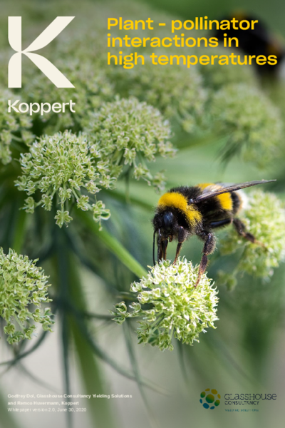 Plant Pollinator interactions in high temperatures