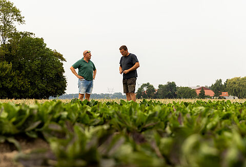 Towards a chemical-free future in agriculture: The vision of grower Koen