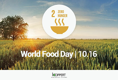 Koppert’s microbial solutions for sustainable food production