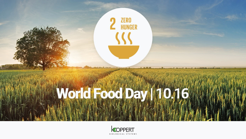 World_Food_Day_Article_US.jpg