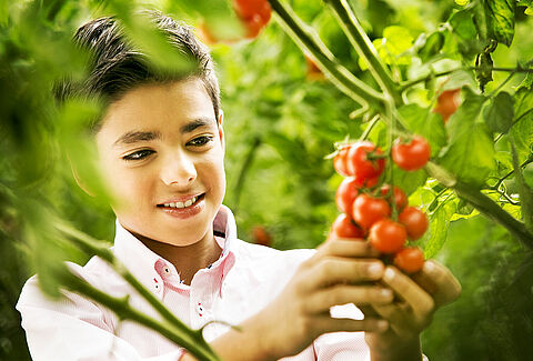 Accelerating Change in Food Production