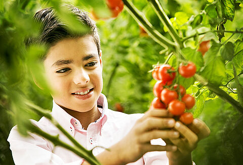 Accelerating Change in Food Production