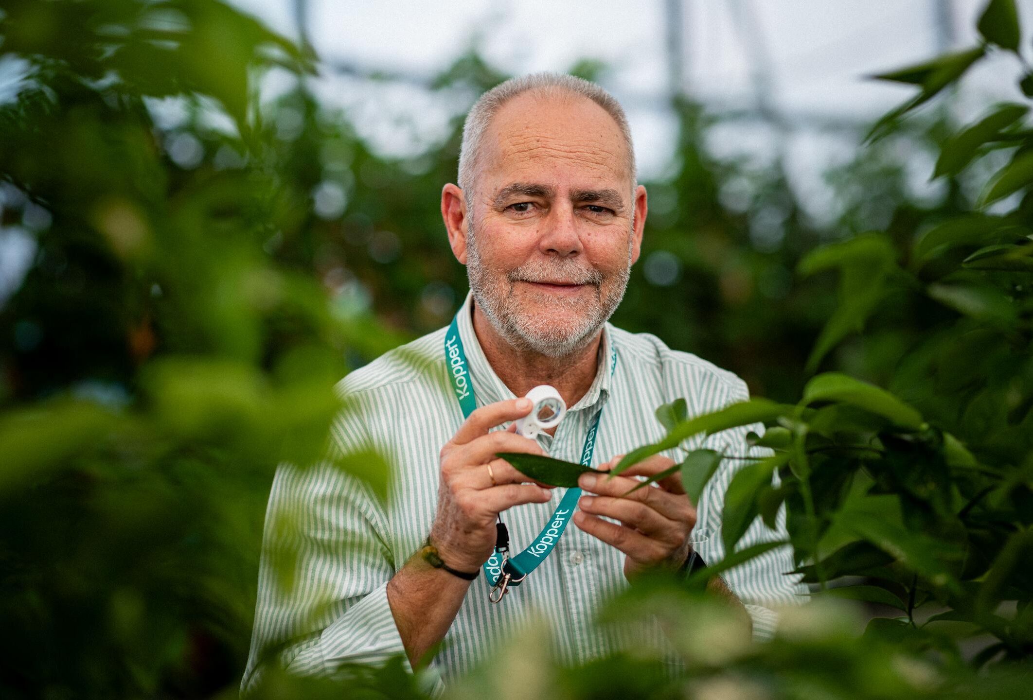 Transforming crop protection: the rise of predatory mites