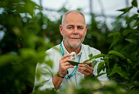 Transforming crop protection: the rise of predatory mites