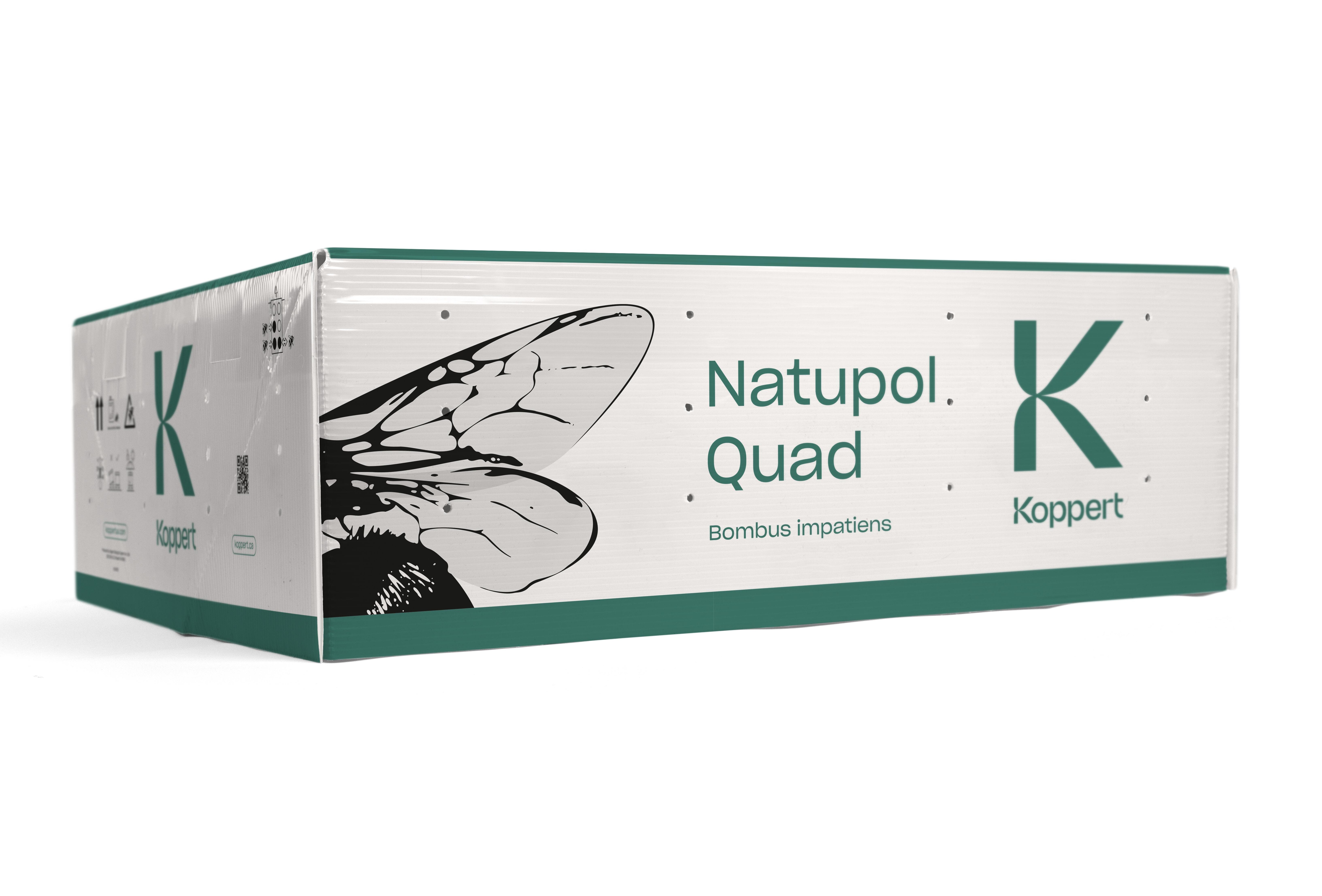 Unveiling the Buzz - Outdoor pollination products with a new look from Spring 2024