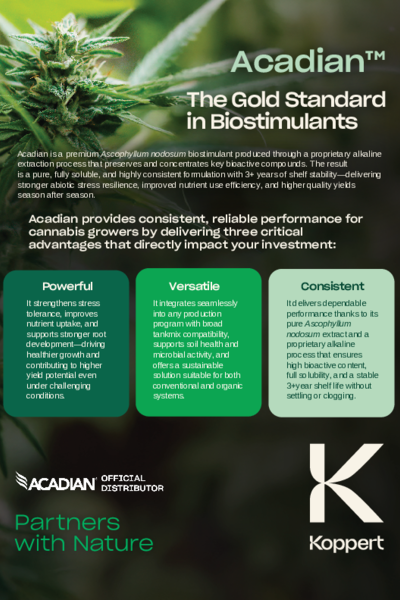 Acadian Cannabis Leaflet