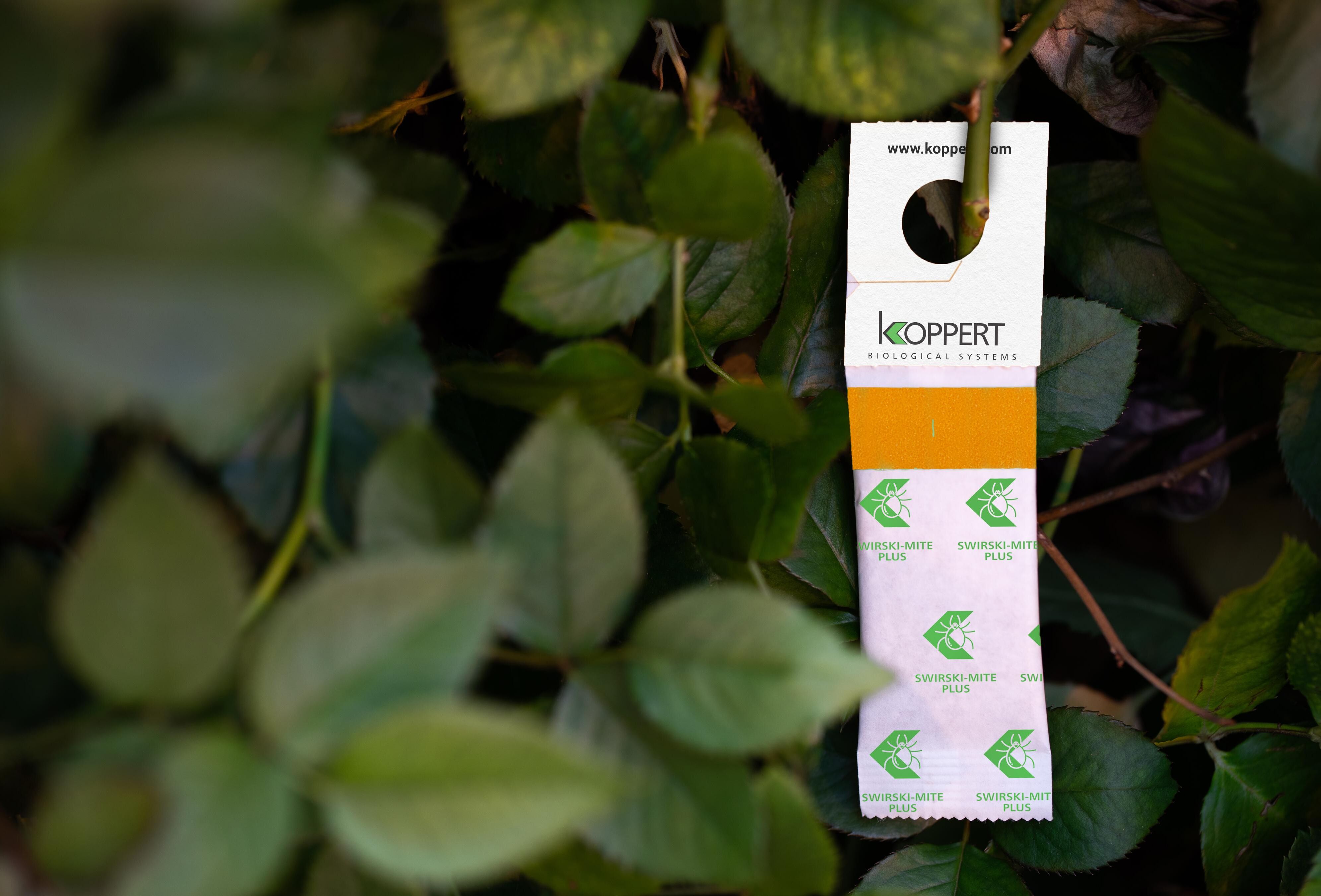 Swirski-Mite Plus, Now in Even Better Shape