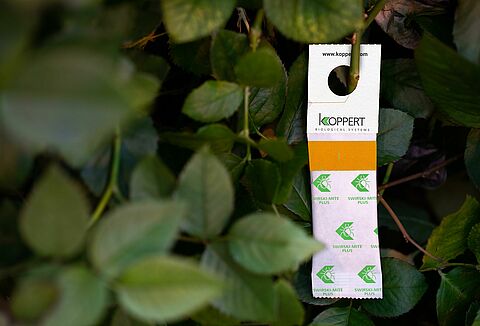 Swirski-Mite Plus, Now in Even Better Shape