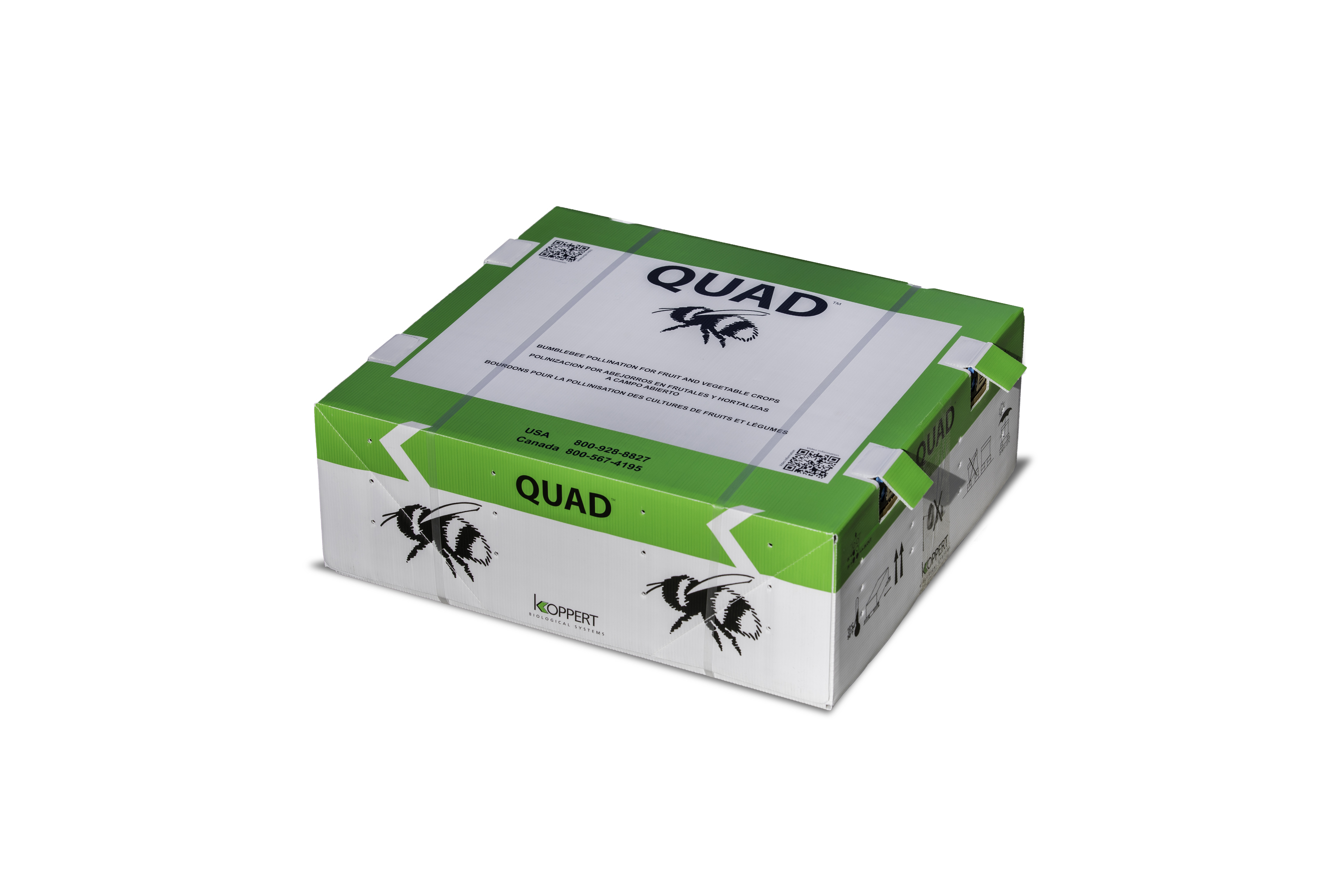 Frequently Asked Questions