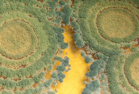 Fungi and Bacteria Deserve Greater Appreciation!