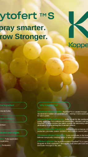 Fytofert S grapes brochure