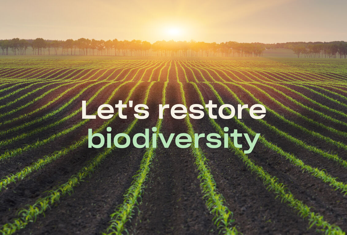 Biodiversity: Research into our positive impact on nature