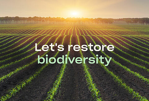 Biodiversity: Research into our positive impact on nature
