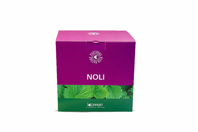 Noli_Koppert_Biological_Systems.jpg