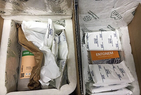 Written in GrowerTalks: "Cold Chain Management" by Heidi Doering