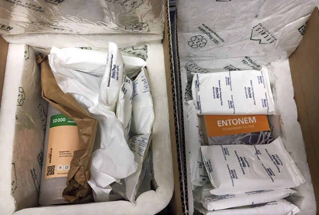 Written in GrowerTalks: "Cold Chain Management" by Heidi Doering