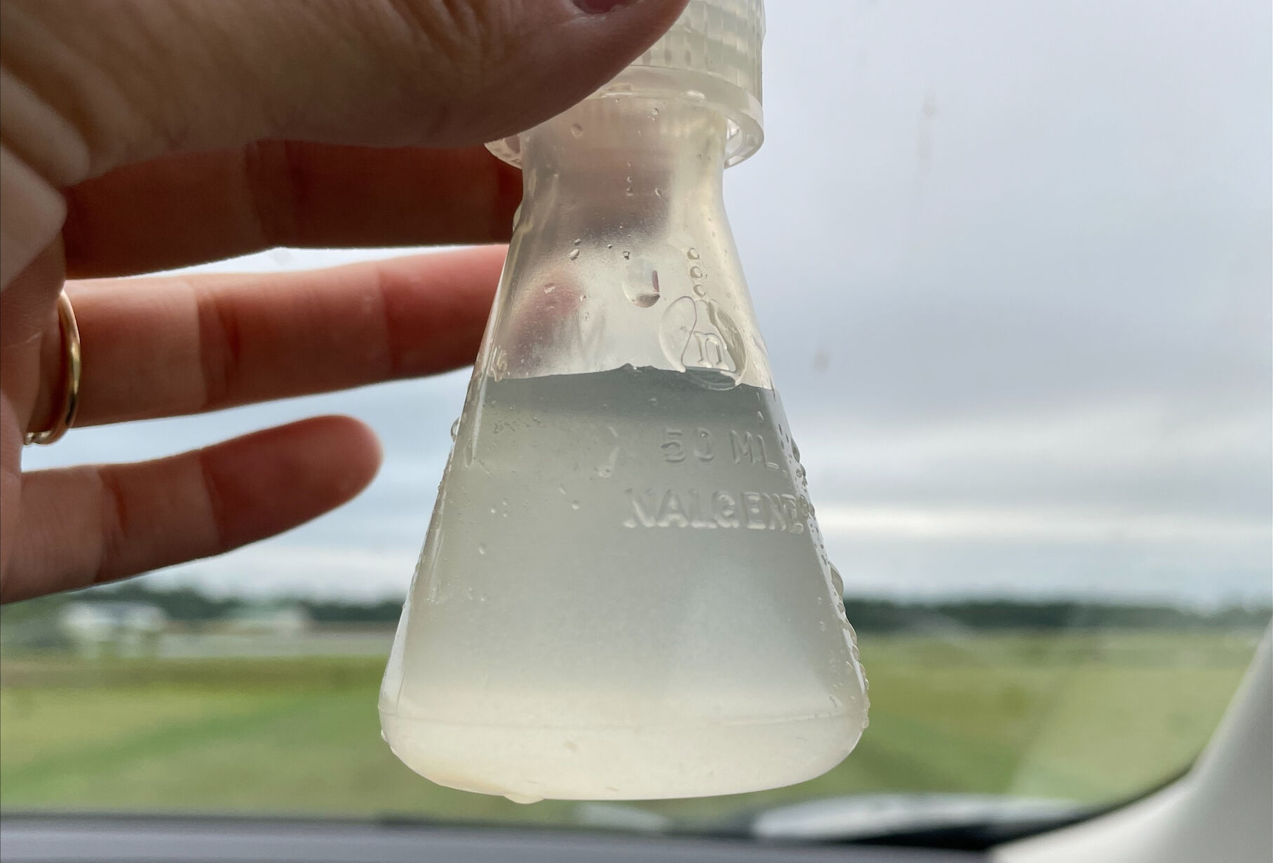 Red Headed Flea Beetle Eradication Described in April 2025 GrowerTalks Issue