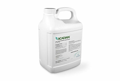 Acadian