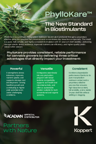 Phyllokare Cannabis Leaflet