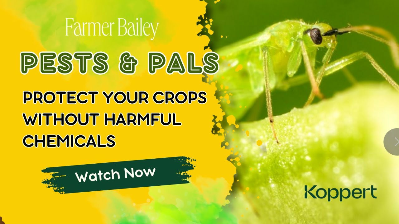 Pests and Pals: Protecting Your Crops with BioControls Pests and Pals: Protecting Your Crops with BioControls