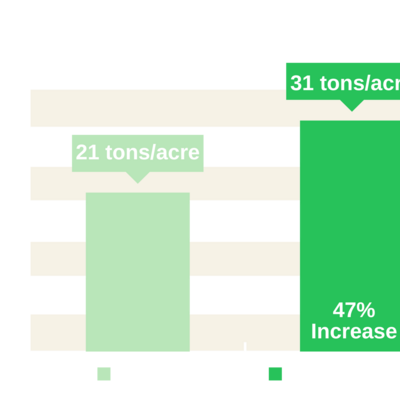 Acadian increased table grape yield by an average of 47% over control.
