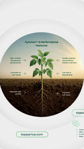 FytoFert S - Specialty Crops Brochure