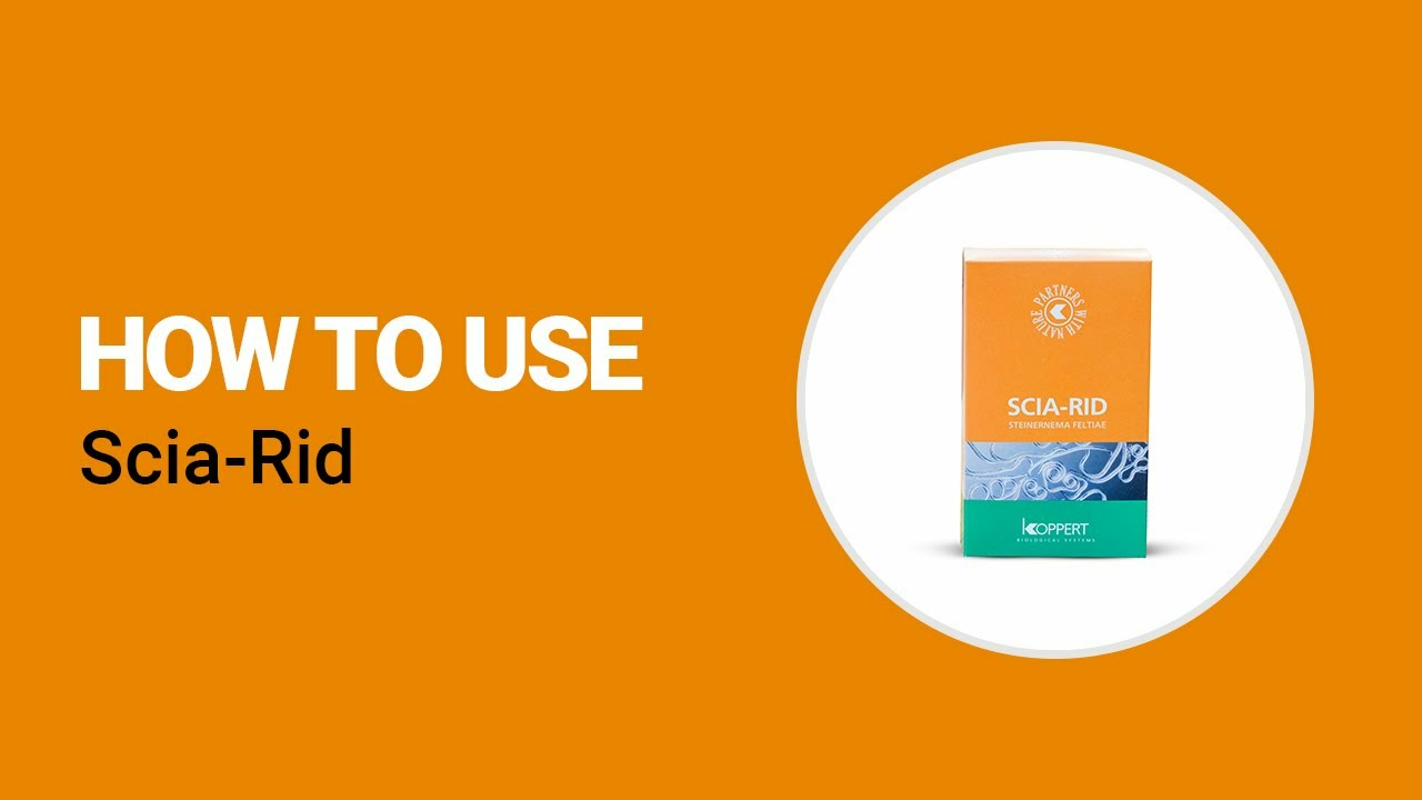 How to use Scia-Rid from Koppert