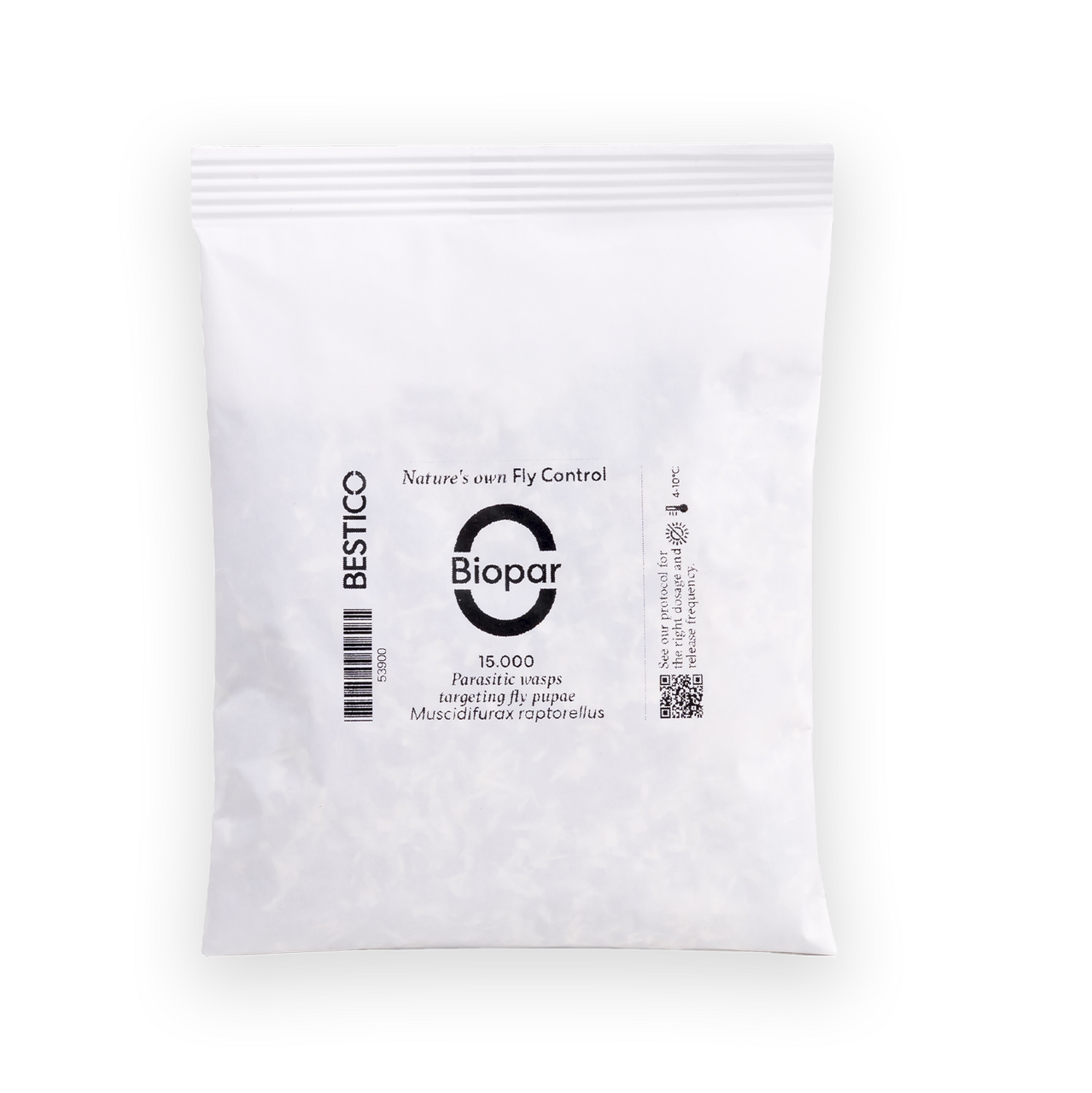 Appiwasp.jpg