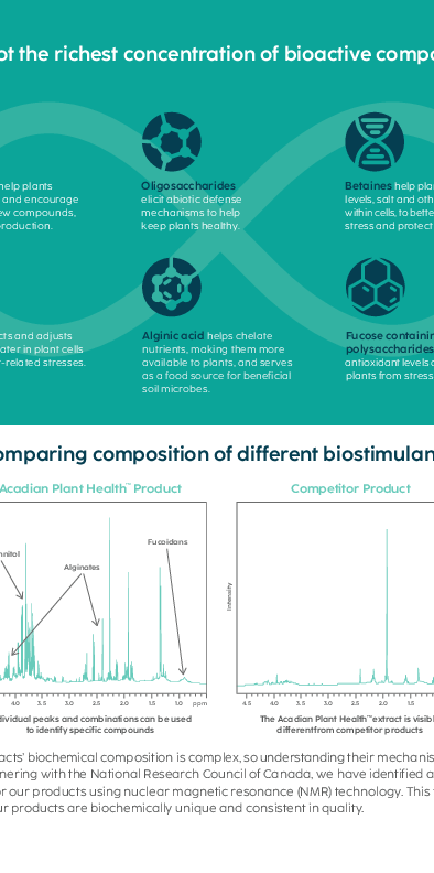 APH Sea Beyond Brochure