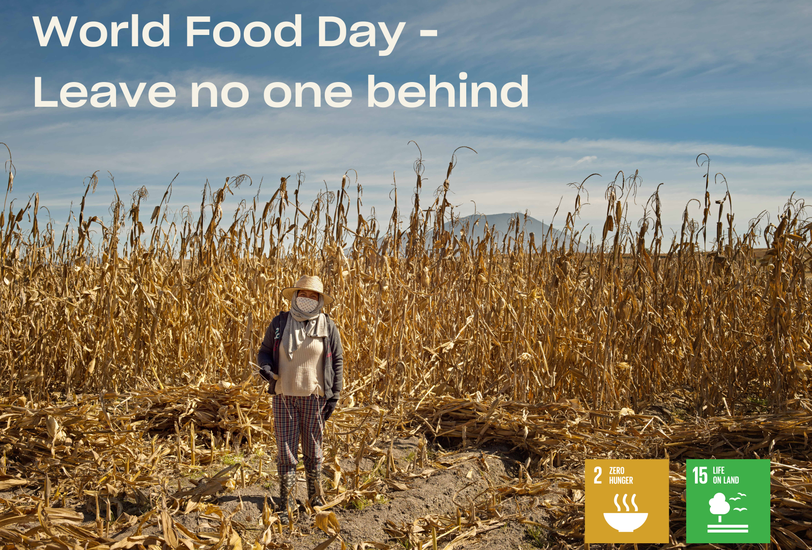 Celebrating real food heroes