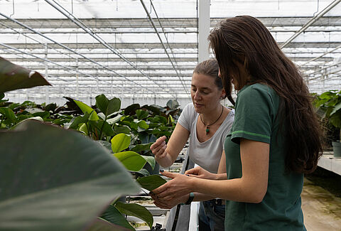 BioSolutions for Propagators