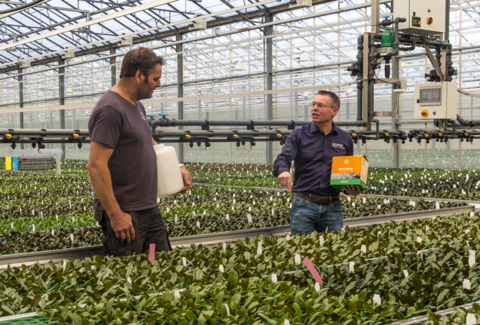 Entonem keeps young orchids free from fungus gnats