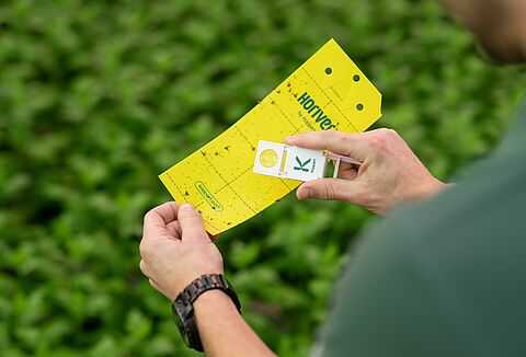 Crop Monitoring and Scouting