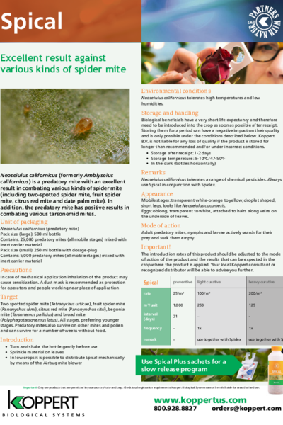 Spical leaflet