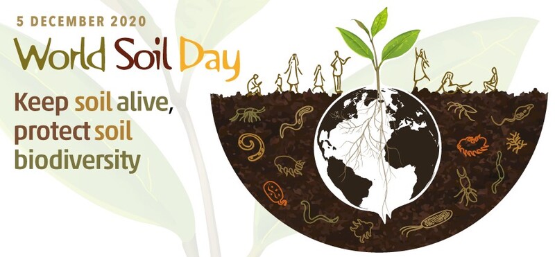 World_Soil_Day_image_1.jpg