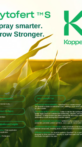 Fytofert S corn brochure