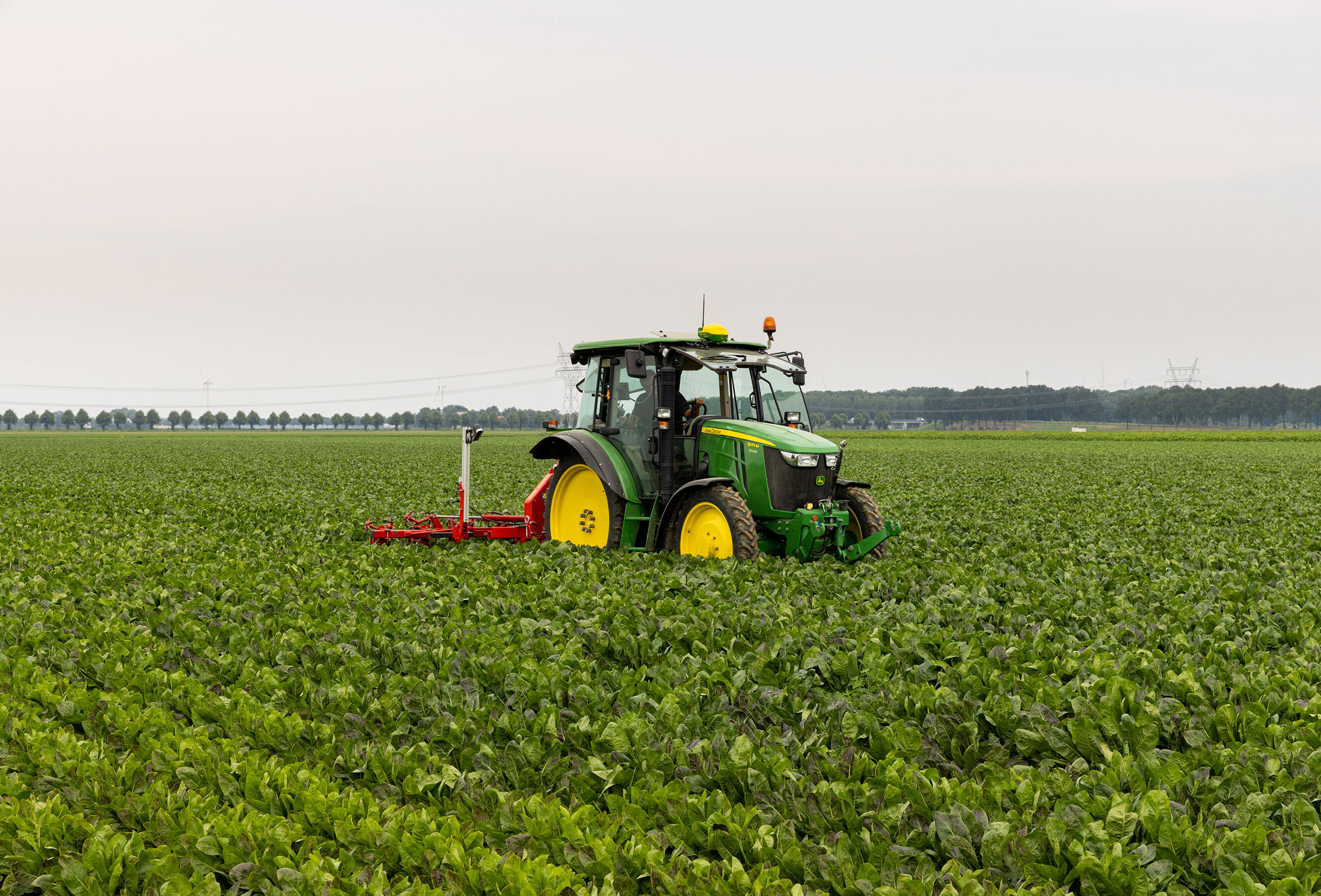 Harness the added value of nature's helpers