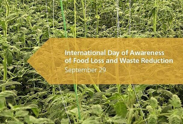 Global awareness of food loss and waste reduction