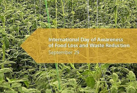 Global awareness of food loss and waste reduction