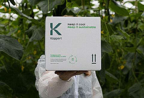 Reducing plastic pollution: We celebrate World Environment Day