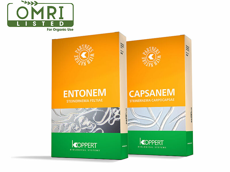 Entonem_and_Capsanem_OMRI.jpg