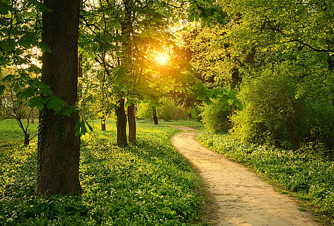 IPM: The Path to a Successful Approach