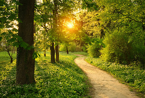 IPM: The Path to a Successful Approach