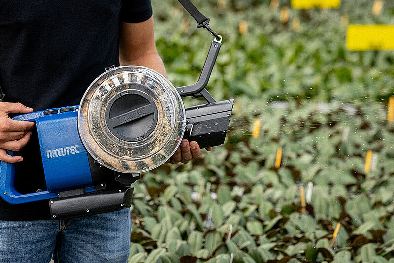 Airobreez in action show the BCA agents gently spinning in the hopper with the beneficials thrown from the short distance nozzle. This operator uses an underhand grip with the unit.