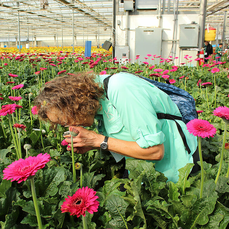 Turn insights into results. Start your IPM plan today.