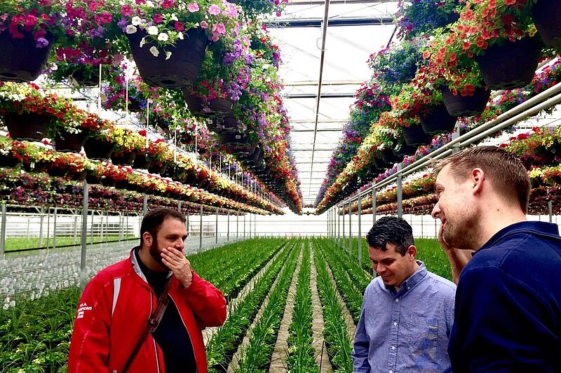 Jeremy Webber (center) with two global Koppert experts brought in to solve a client’s thrips problem.