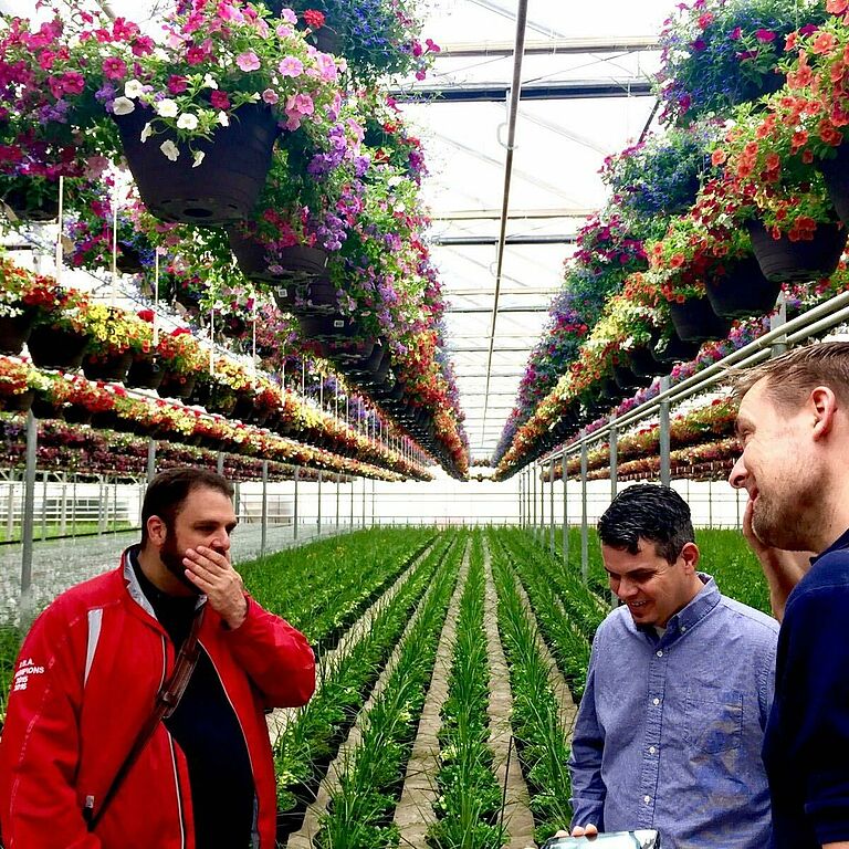 Jeremy Webber (center) with two global Koppert experts brought in to solve a client’s thrips problem.